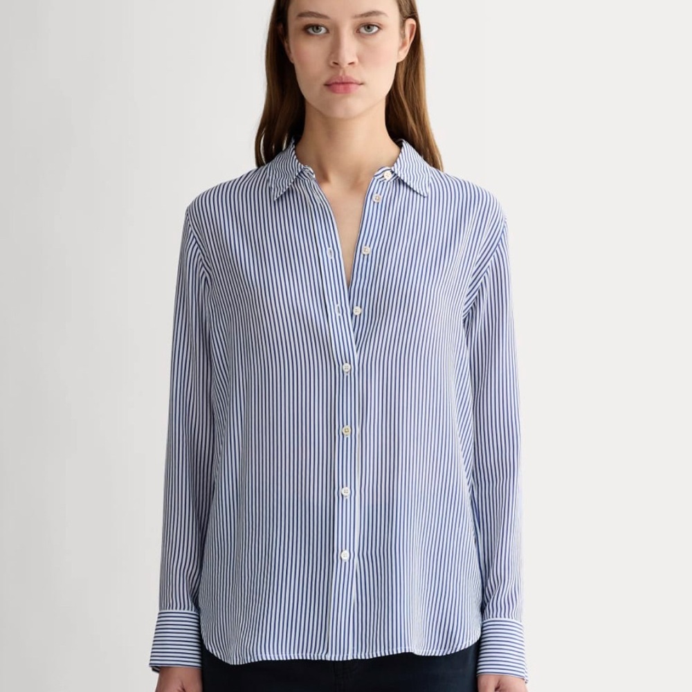 Everlane Blue White Striped Button-Down Poplin Shirt